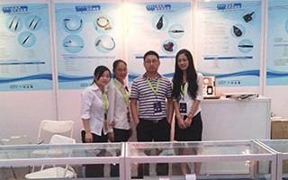 DYS Fiber Optic Patch Cord in the International Optoelectronic Exposition as a bright spot